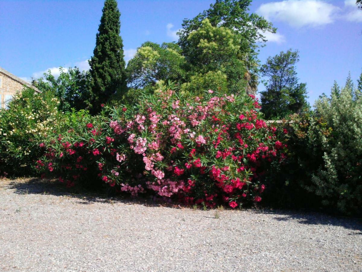 Villa Aigues Vives Boutenac Eksteriør billede